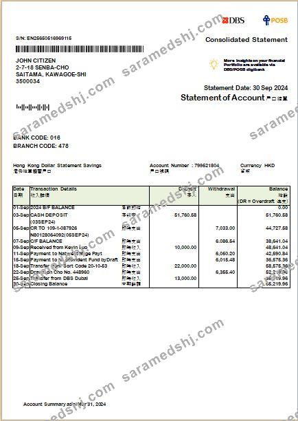 Hong Kong DBS bank consolidated statement Word and PDF template scr